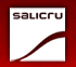 Salicru-IEMS